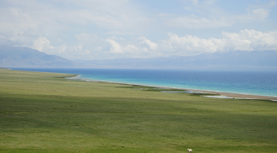 神州租車集中投放超5000臺新車 助力全國用戶“一起吹吹西部曠野的風(fēng)” 神州租車集中投放超5000臺新車 助力全國用戶“一起吹吹西部曠野的風(fēng)”